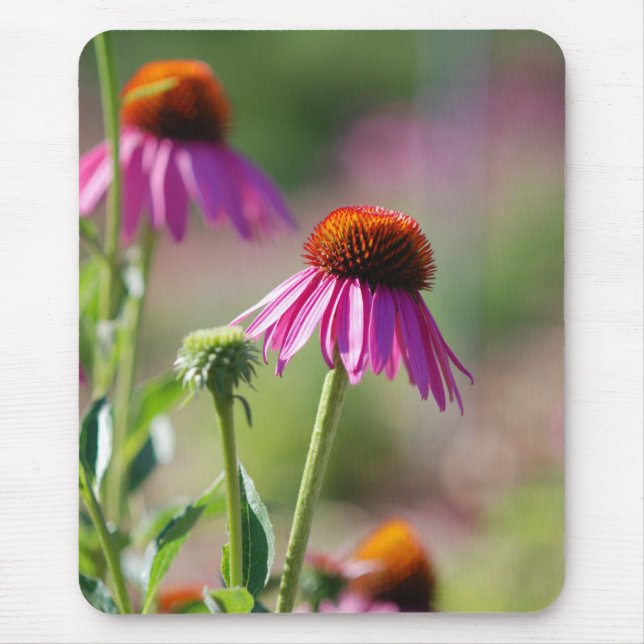 Purple Coneflower Mouse Pad (Front)