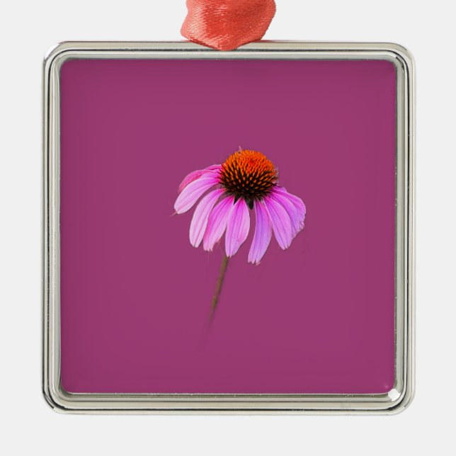 Purple Coneflower Ornament (Front)