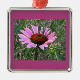 Purple Coneflower Ornament