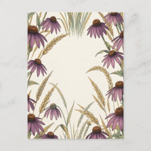 Purple Coneflower Wheat Botanical Postcard