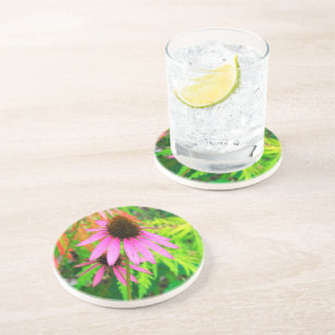 Purple Coneflower with Stunning Green Foliage Coaster