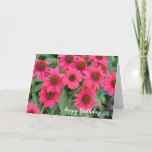 Purple Coneflowers Birthday Card