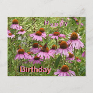 Purple Coneflowers & Butterfly Birthday Postcard