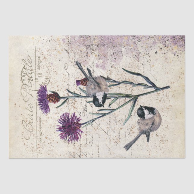 Purple Cornflower Chickadee Bird French Script  Tissue Paper (Front)