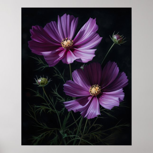 Purple Cosmos Fleurs Art Imprimer Poster (Devant)