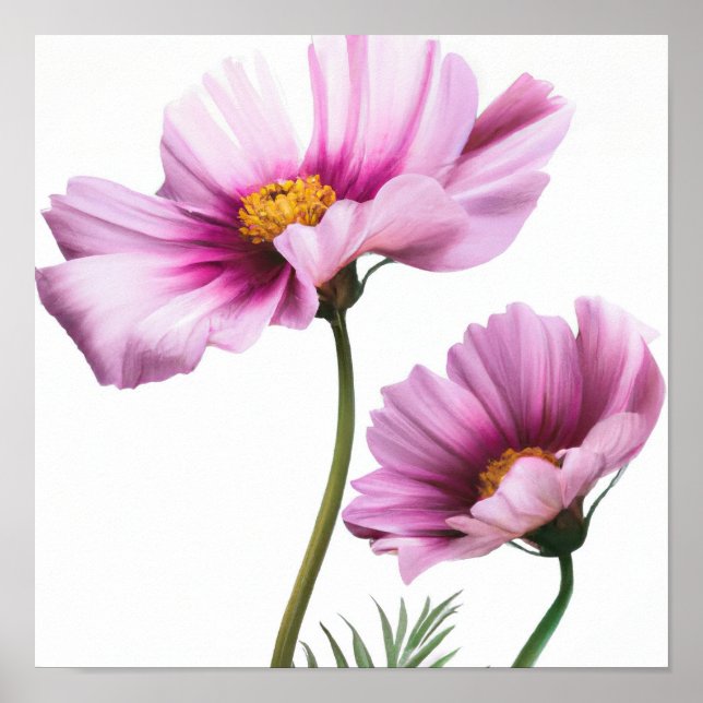 Purple Cosmos Flower Art Print Poster (Front)