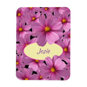Purple Cosmos Flower Design on a Black Background Magnet