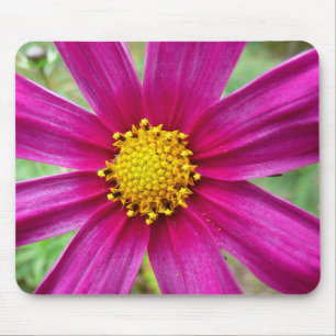 Purple Cosmos Wildflower Mouse Pad