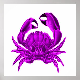 Purple Crab Beach House Decor