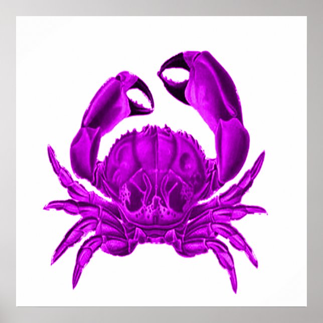 Purple Crab Beach House Decor (Front)