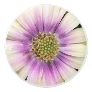 Purple-cream Flower Knob
