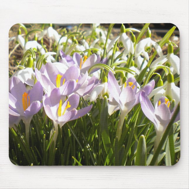 Purple Crocus and Snowdrops Mousepad (Front)