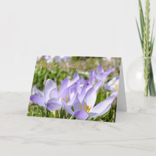 Purple Crocus - Birthday Card -Customize