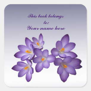 Purple Crocus Bookplate Square Sticker