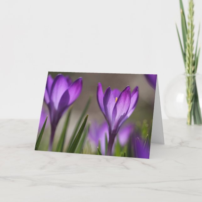 Purple crocus card (Front)