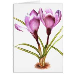 "Purple Crocus" fine art everyday blank card