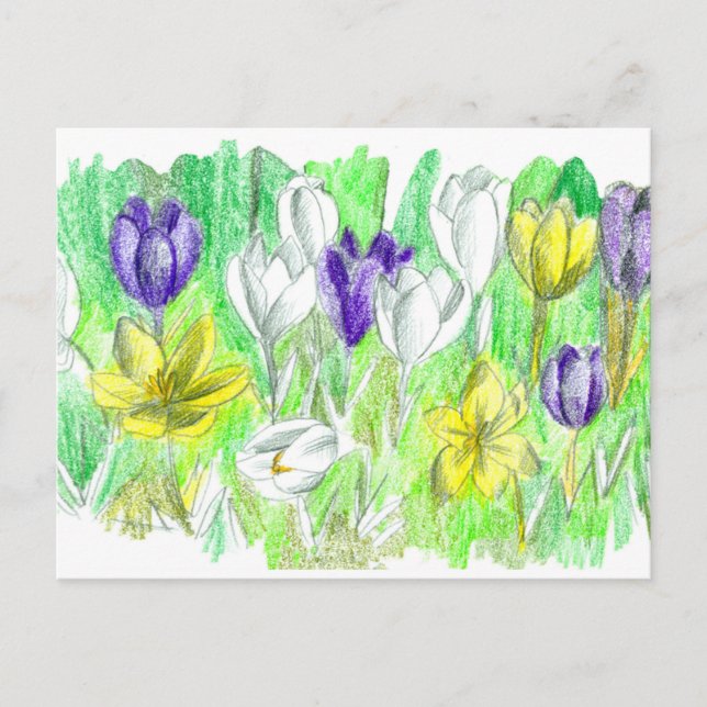 Purple Crocus Flowers Forest Floor Spring Art Postcard (Front)