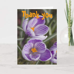 Purple crocus flowers ... Thank you card