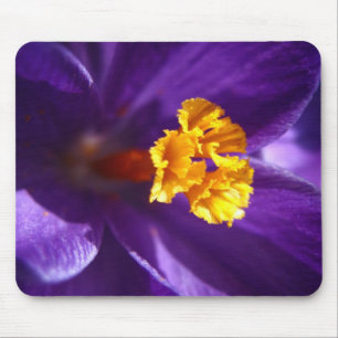 Purple Crocus Mouse Pad