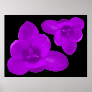Purple Crocus Print
