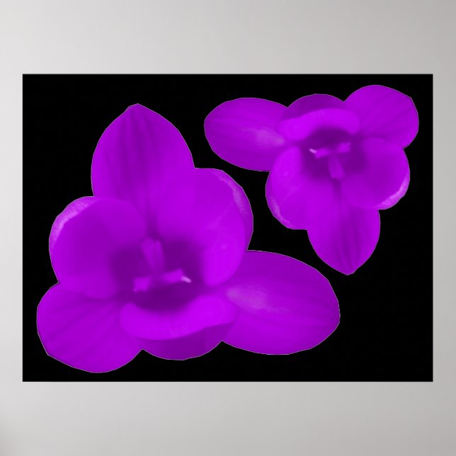 Purple Crocus Print (Front)
