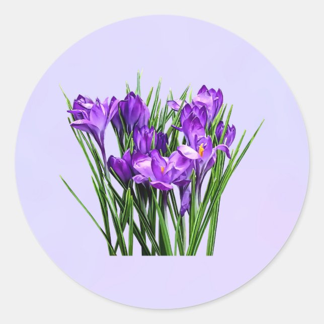 Purple Crocuses Classic Round Sticker (Front)