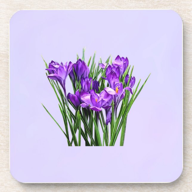 Purple Crocuses Coaster (Front)