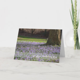 Purple Crocuses DSC5434 Card