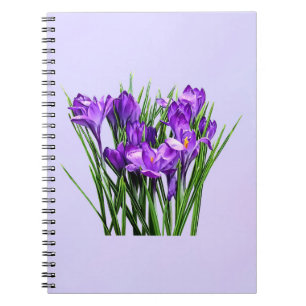 Purple Crocuses Notebook