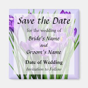 Purple Crocuses Save the Date Magnet