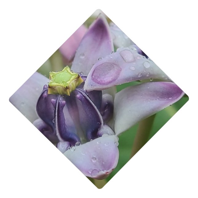 Purple Crown Flower Graduation Cap Topper (Front)
