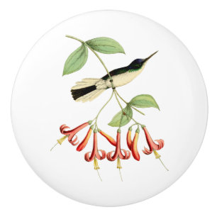 Purple Crowned Fairy Hummingbird Ceramic Knob