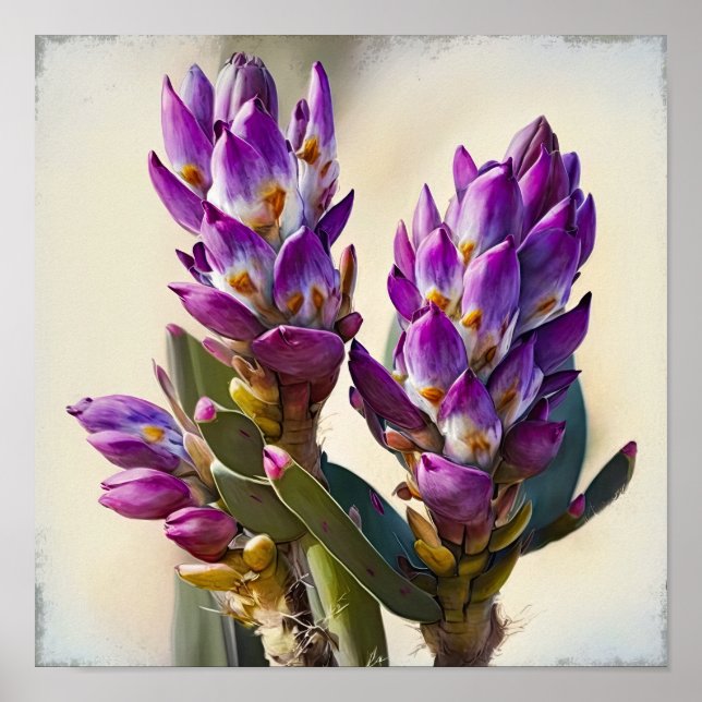 Purple Curcuma Flower Art Print Poster (Front)