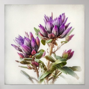 Purple Curcuma Flower Art Print Poster