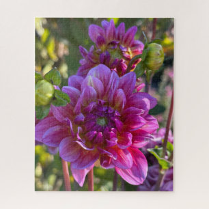 Purple Dahlia, Oakland Jigsaw Puzzle