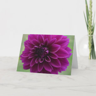 Purple dahlia on a note card, close up card