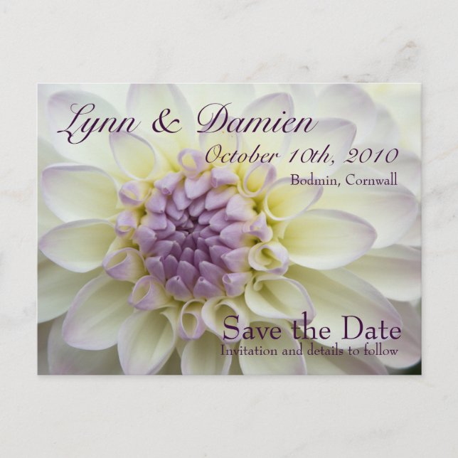 Purple Dahlia • Save the Date Postcard (Front)