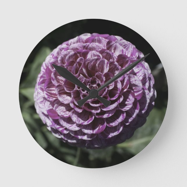 Purple Dahlia Wall Clock (Front)