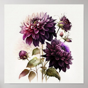 Purple Dahlias Flower Art Print Poster