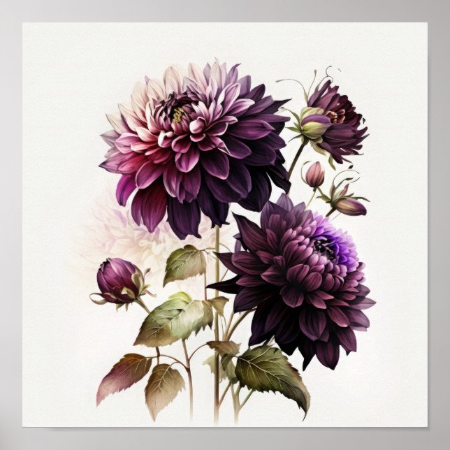 Purple Dahlias Flower Art Print Poster (Front)
