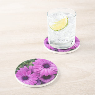 Purple daisies coaster