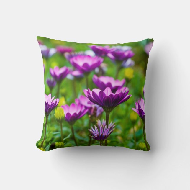 Purple Daisies Throw Pillow (Front)