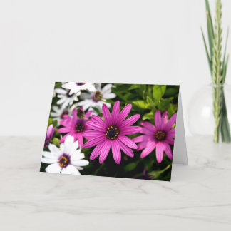 Purple Daisy Card