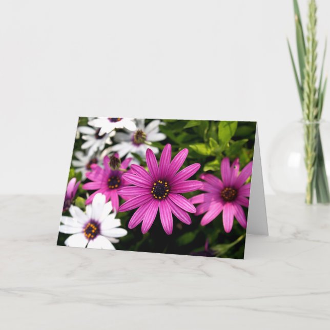 Purple Daisy Card (Front)
