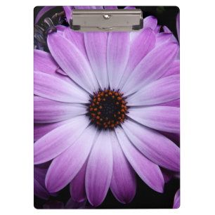 Purple Daisy Clipboard