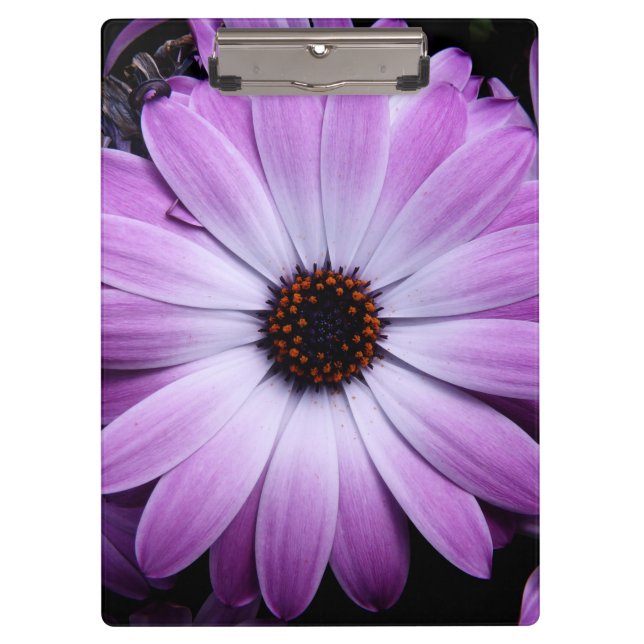 Purple Daisy Clipboard (Front)