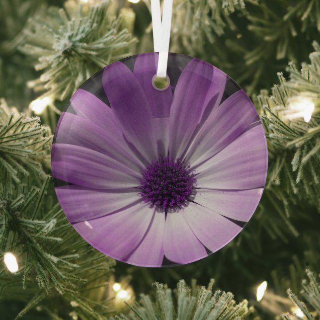 Purple Daisy Flower Glass Ornament (Insitu)