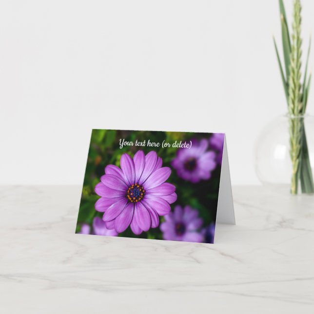 Purple Daisy flower Greeting card (Front)
