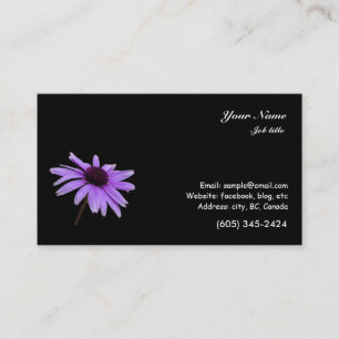 purple daisy flower in black background business card