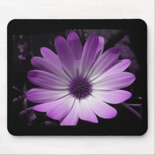 Purple Daisy Flower Mousepad